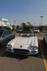 IMG 8486